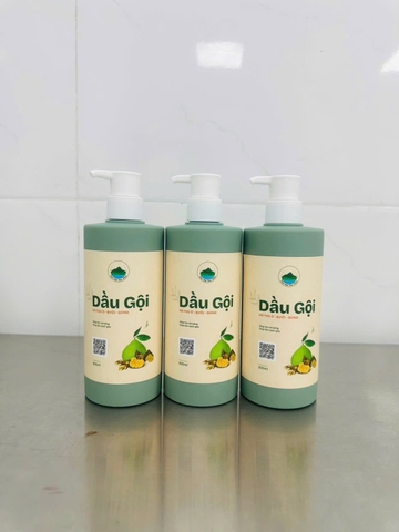 Gội Hà thủ ô Bưởi Gừng Thảo Mộc Kim Nhan