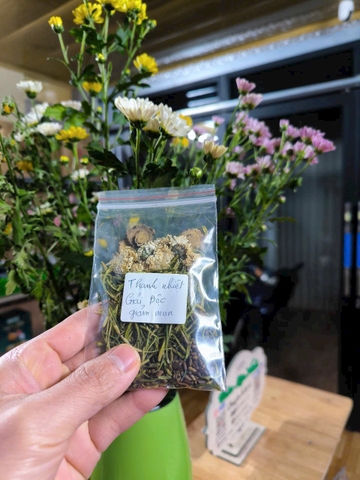 Trà thanh nhiệt giải độc giảm mụn