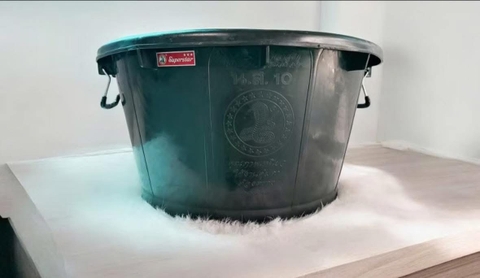 Chậu Lào siêu bền