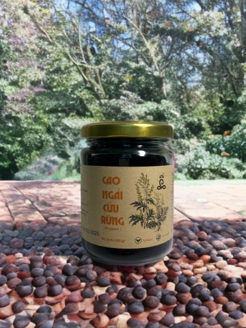 Cao ngải cứu bổ huyết Dưỡng tử cung