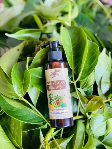 Cao vệ sinh thảo mộc