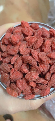 Trà Câu kỷ tử Mộc 100g