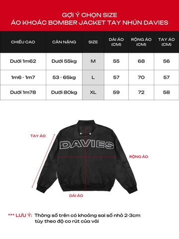 DSW Metallic Bomber Jacket