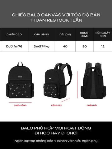 DSW Special Backpack