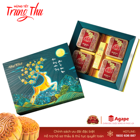 LỄ HỘP HẢO HẠNG