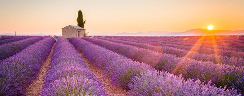 Tour Nam Pháp - Máy bay 5N4Đ