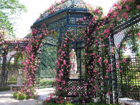 Tour du lịch Paris - Disneyland