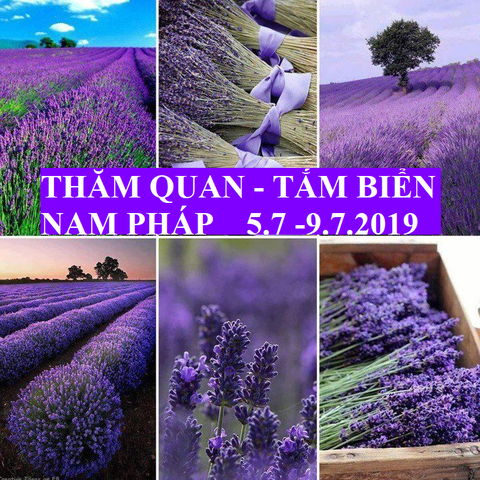 TOUR THĂM QUAN + TẮM BIỂN - NAM PHÁP