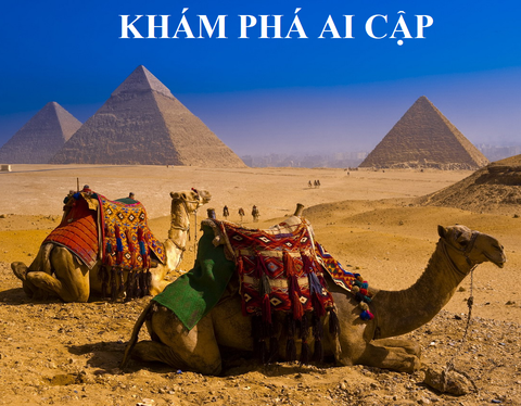 AI CÂP TOUR THAM QUAN VÀ NGHỈ BIỂN 2025