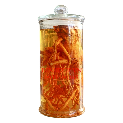 Bình thủy tinh ngâm rượu 10 lít trụ trơn có vòi