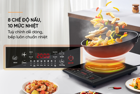 Bếp từ đơn Sunhouse SHD6154