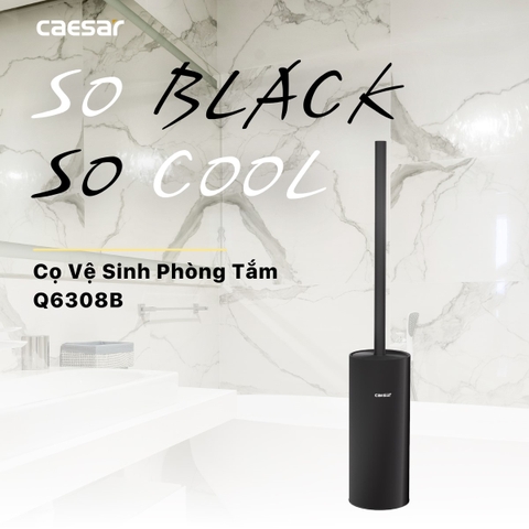 Cọ vệ sinh bàn cầu Caesar Q6308B màu đen