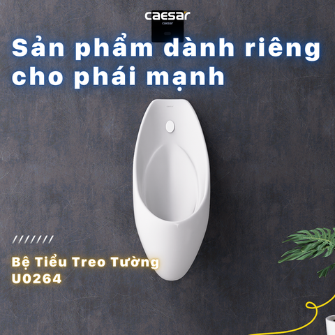 Bồn tiểu nam Caesar U0264 treo tường