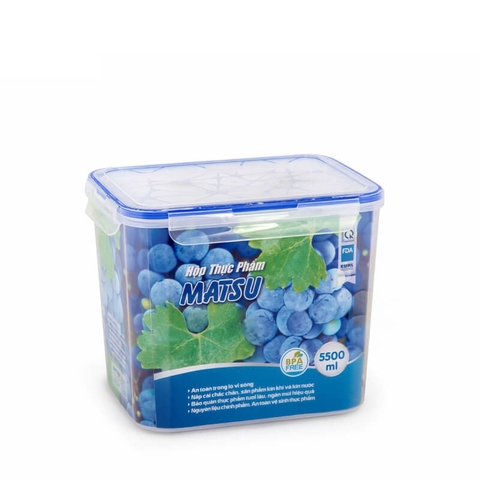 Hộp Thực Phẩm Chữ Nhật nhựa Duy Tân 5500ml No.442