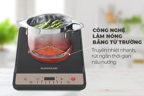 Bếp từ đơn Sunhouse SHD6160