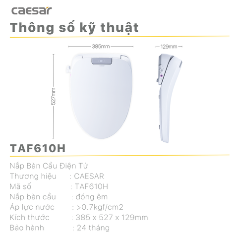 Bồn Cầu 1 khối CAESAR C1363F Nắp Rửa Điện Tử TAF610H