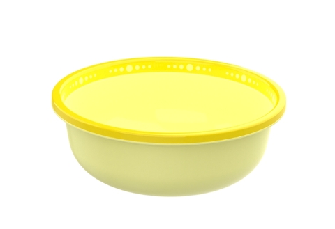 Thau 2 màu 2T0 nhựa Duy Tân No.1642