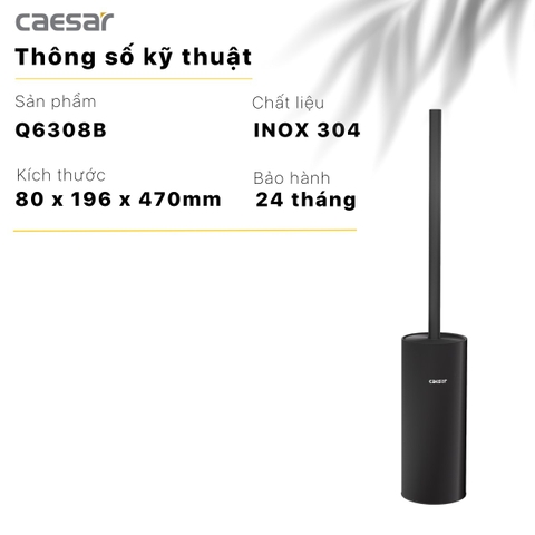 Cọ vệ sinh bàn cầu Caesar Q6308B màu đen