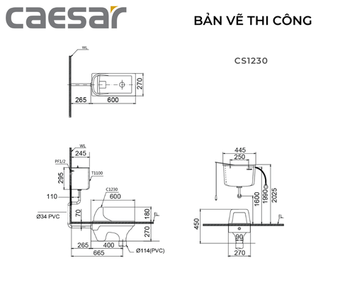 Bồn cầu xổm Caeasar CS1230