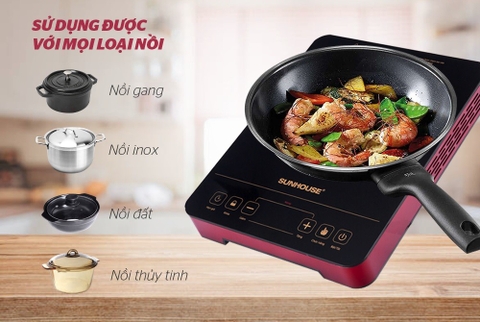 Bếp hồng ngoại cảm ứng Sunhouse SHD6014