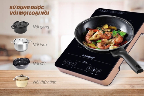 Bếp hồng ngoại cảm ứng Sunhouse SHD6015