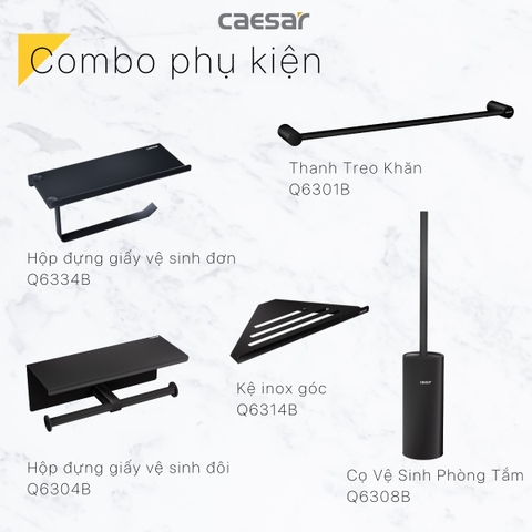 Cọ vệ sinh bàn cầu Caesar Q6308B màu đen