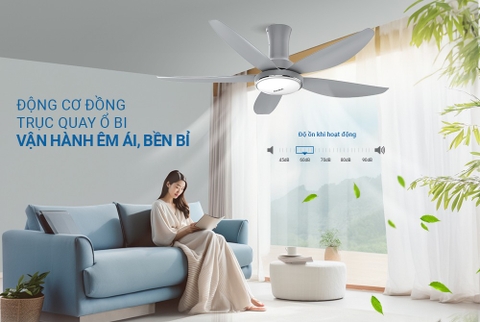 Quạt trần 5 cánh có đèn Sunhouse Apex APF7676G