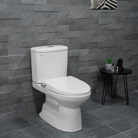 Nắp rửa cơ INAX CW-S15VN (CWS15VN)