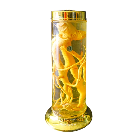 Bình Thủy Tinh Phú Hòa 3.8 Lít
