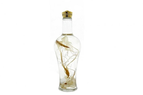 Bình Thủy Tinh Ngâm Rượu Yongcheon Hàn Quốc 750ML MN67