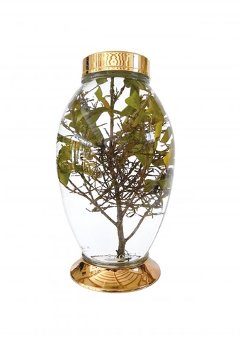 Bình Thủy Tinh Ngâm Rượu Yongcheon Hàn Quốc 8.5L MN124