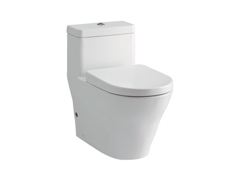 Bồn cầu 1 khối TOTO CW166RB#XW/TC384CVK#W/T53P100VR