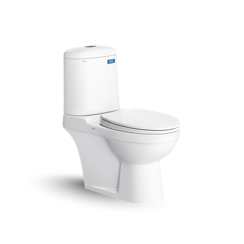 Bồn cầu 2 khối Viglacera VI107