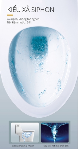 Bồn cầu 1 khối Caesar CD1353F nắp rửa cơ TAF060