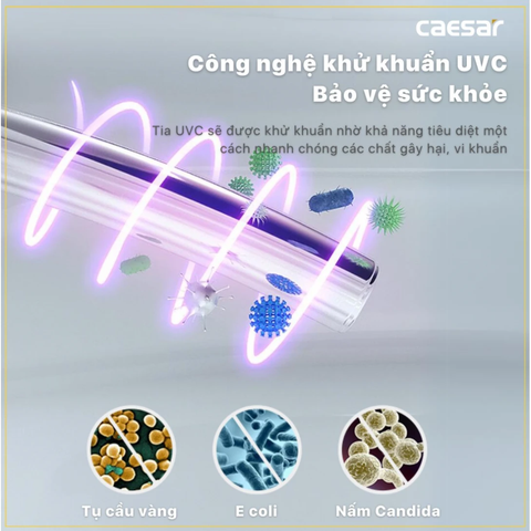 Bồn Cầu 1 khối CAESAR C1353F Nắp Rửa Điện Tử TAF610H