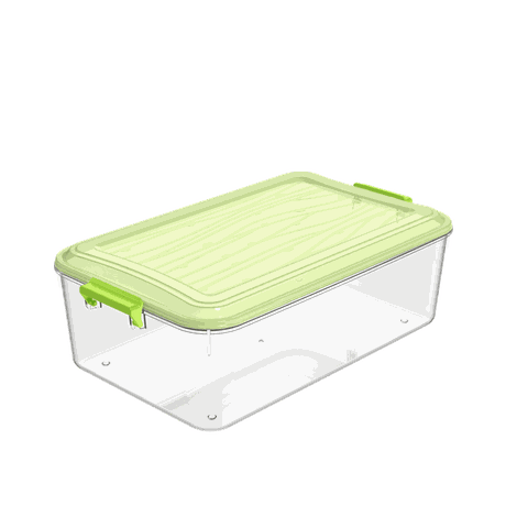 Hộp Chữ Nhật Thấp nhựa Duy Tân 991 No.991