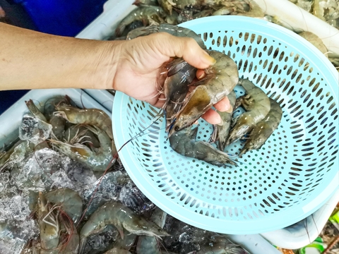 Rổ Tròn Đan nhựa Duy Tân 2T8 No.1075
