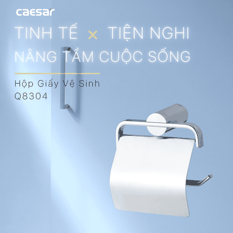Hộp Đựng Giấy Vệ Sinh Caesar Q8304