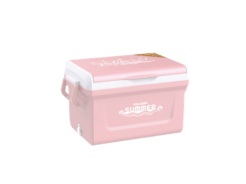 Thùng đá ICY nhựa Duy Tân 35L No.0524