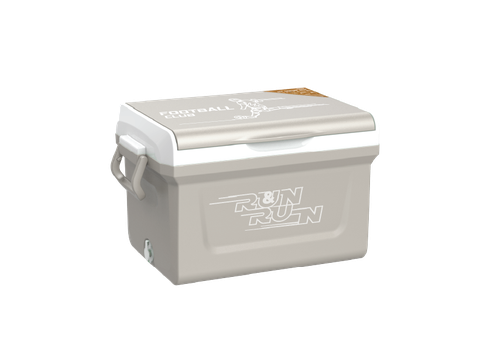 Thùng đá ICY nhựa Duy Tân 35L No.0524