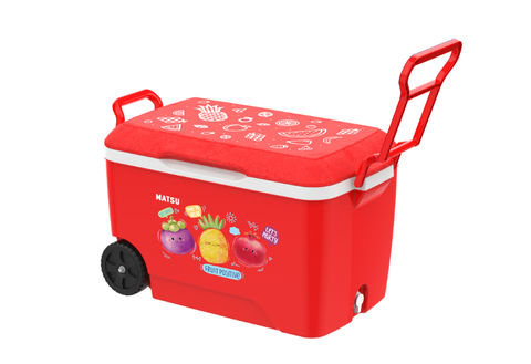 Thùng đá nhựa Duy Tân 60 bánh xe  No.242