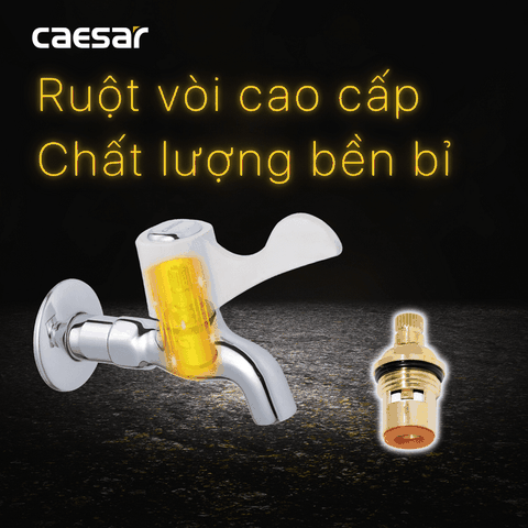 Vòi gắn tường Caesar W027C