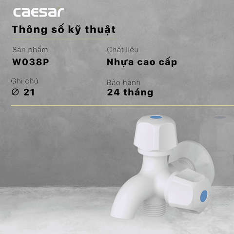 Vòi sen tắm nước lạnh Caesar W038P củ sen nhựa