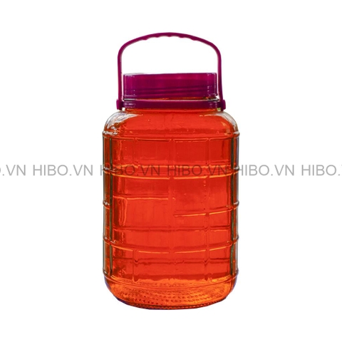 Bình Thủy Tinh Việt Tiệp 3.8 Lít Quai Xách