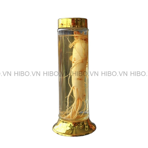 Bình Thủy Tinh Ngâm Rượu Phú Hòa 0.8 Lít (800ml)