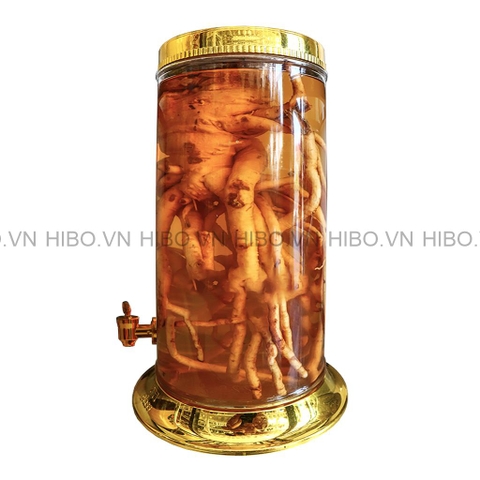[Sỉ thùng] Bình Thủy Tinh Ngâm Rượu Phú Hòa 25.8 lít có vòi