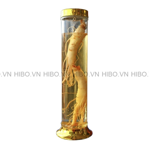 Bình Thủy Tinh Ngâm Rượu Phú Hòa 1.8 lít