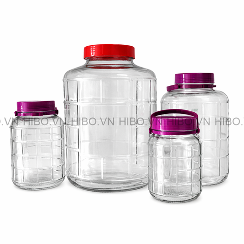 Bình Thủy Tinh Việt Tiệp 16.8 Lít Quai Xách