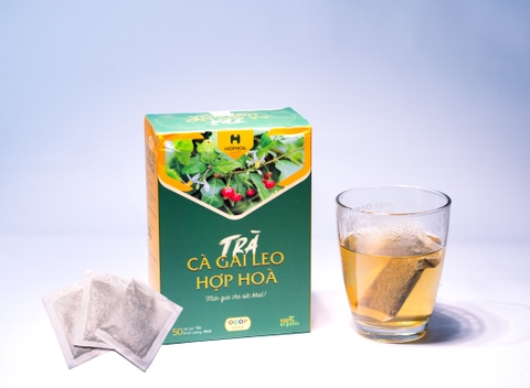 Trà gai leo Hợp Hoà