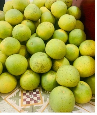 Bưởi Đoan Hùng